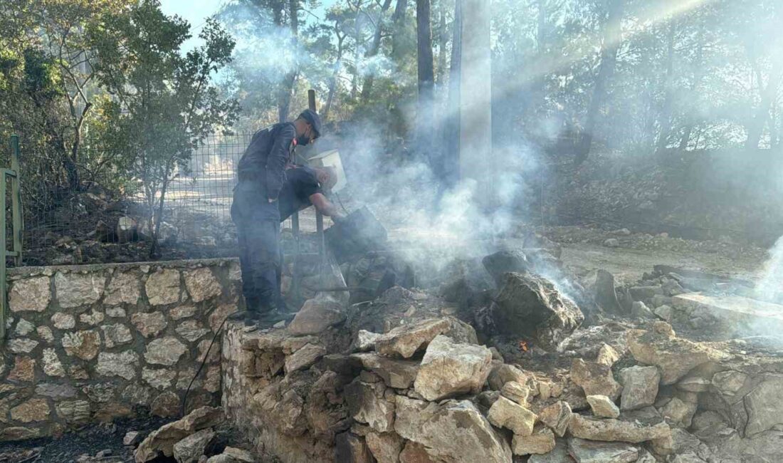 MUĞLA'NIN MENTEŞE İLÇESİNDE ÇIKAN