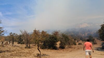 MUĞLA’NIN BODRUM İLÇESİNDE AĞAÇLIK ALANDA ÇIKAN YANGIN, HAVADAN VE KARADAN