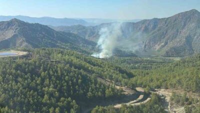 DALAMAN’DA ORMAN YANGINI KONTROL ALTINA ALINDI