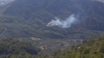 DALAMAN’DA ORMAN YANGINI