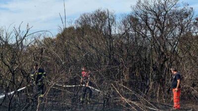 MUĞLA'NIN DATÇA İLÇESİNDE AĞAÇLIK ALANDA ÇIKAN YANGIN EKİPLERİN HIZLI MÜDAHALESİYLE
