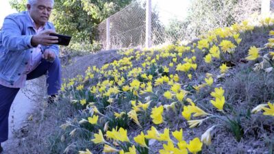 DÜNYANIN ÇIKILAN DEĞİL İNİLEN TEK YAYLASI MUĞLA KARABAĞLAR YAYLASI'NA NİSAN-MAYIS