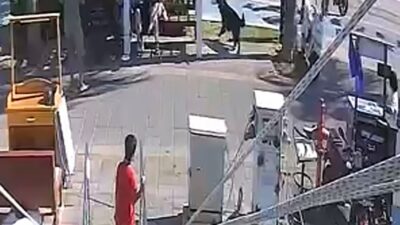 KURT KÖPEĞİNİN POLİSLERE SALDIRI ANININ GÖRÜNTÜLERİ ORTAYA ÇIKTI