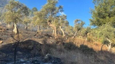 MİLAS ORMAN YANGINI KONTROL ALTINA ALINDI