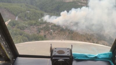 MUĞLA'NIN MİLAS İLÇESİNDE SABAH SAATLERİNDE ÇIKAN ORMAN YANGINI, EKİPLERİN HIZLI