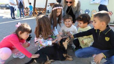 MUĞLA BÜYÜKŞEHİR BELEDİYESİ GEÇİCİ HAYVAN BAKIMEVİ 4 EKİM DÜNYA HAYVANLARI