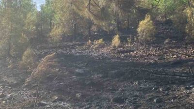 MUĞLA KÖYCEĞİZ YANGINI KONTROL ALTINA ALINDI