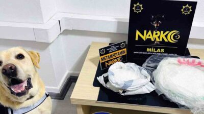 MUĞLA EMNİYET MÜDÜRLÜĞÜ KOM VE NARKO EKİPLERİ VE NARKOTİK KÖPEĞİ