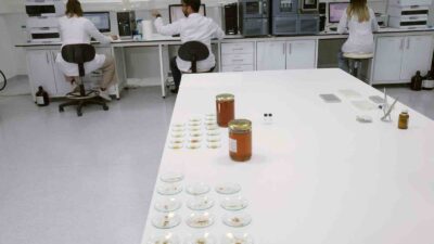 TARIM VE ORMAN BAKANLIĞI TARAFINDAN GÜNLÜK OLARAK AÇIKLANAN TAKLİT VE