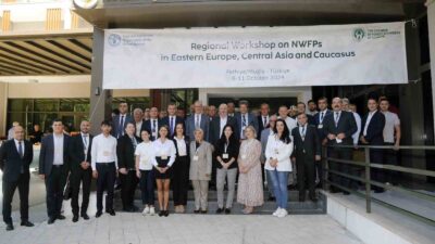 MUĞLA ORMAN BÖLGE MÜDÜRLÜĞÜ ULUSLARARASI ODUN DIŞI ORMAN ÜRÜNLERİ ÇALIŞTAYI’NA