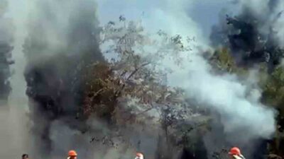 YATAĞAN-MİLAS KARAYOLUNDAKİ YANGIN KISA SÜREDE SÖNDÜRÜLDÜ