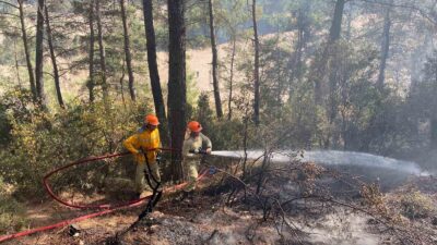 MUĞLA’NIN YATAĞAN İLÇESİNDE MEYDANA GELEN ORMAN YANGINI EKİPLERİN HIZLI MÜDAHALESİ