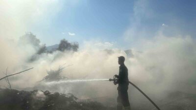 MUĞLA'NIN KÖYCEĞİZ İLÇESİNDE YOL KENARINDA TUTUŞAN OTLAR, İTFAİYE EKİPLERİNİN HIZLI