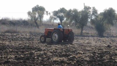 BODRUM BELEDİYESİ TARIMSAL HİZMETLER MÜDÜRLÜĞÜ, KARAOVA’DA BELEDİYEYE AİT TARIM ARAZİLERİNDE