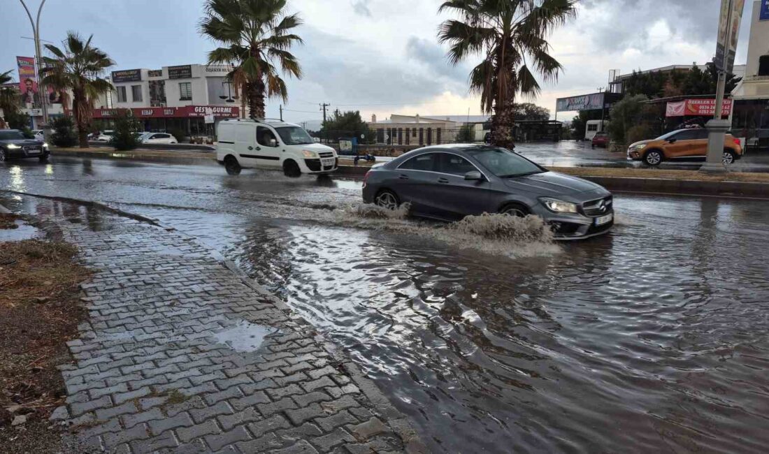 MUĞLA’NIN BODRUM İLÇESİNDE AYLARDIR