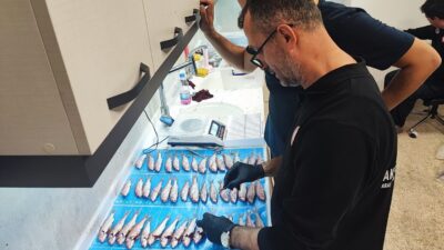 EGE VE AKDENİZ'DE BALIKÇILIĞI İZLEME ÇALIŞMALARI MUĞLA'DA DEVAM EDİYOR