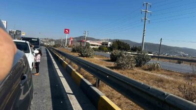 MİLAS BODRUM KARAYOLUNDA DİLENEN 5-6 YAŞLARINDAKİ ÇOCUKLARIN CANI TEHLİKEDE! (AHMET