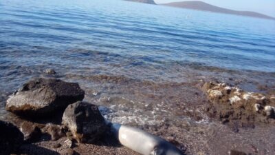 MUĞLA’NIN BODRUM İLÇESİNDE KUYRUĞUNDA YARASI OLAN YAVRU AKDENİZ FOKU, ÖLÜ