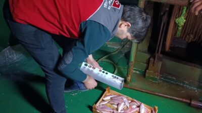 MUĞLA’DA SU ÜRÜNLERİ AV YASAĞI DENETİMLERİ ARALIKSIZ DEVAM EDİYOR