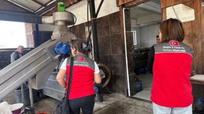 MUĞLA’DA ZEYTİNYAĞI DENETİMLERİ HIZ KESMEDEN DEVAM EDİYOR