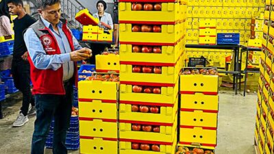 ORTACA’DA ÜRETİLEN ÜRÜNLER TÜM DÜNYAYA İHRAÇ OLUYOR