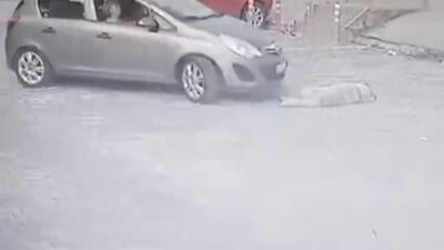 MUĞLA'NIN BODRUM İLÇESİNDE BİR SÜRÜCÜNÜN OTOMOBİLİNİ OTOPARKTA YATAN KÖPEĞİN ÜZERİNE