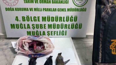 YASADIŞI AVCILIĞA 23 BİN TL CEZA