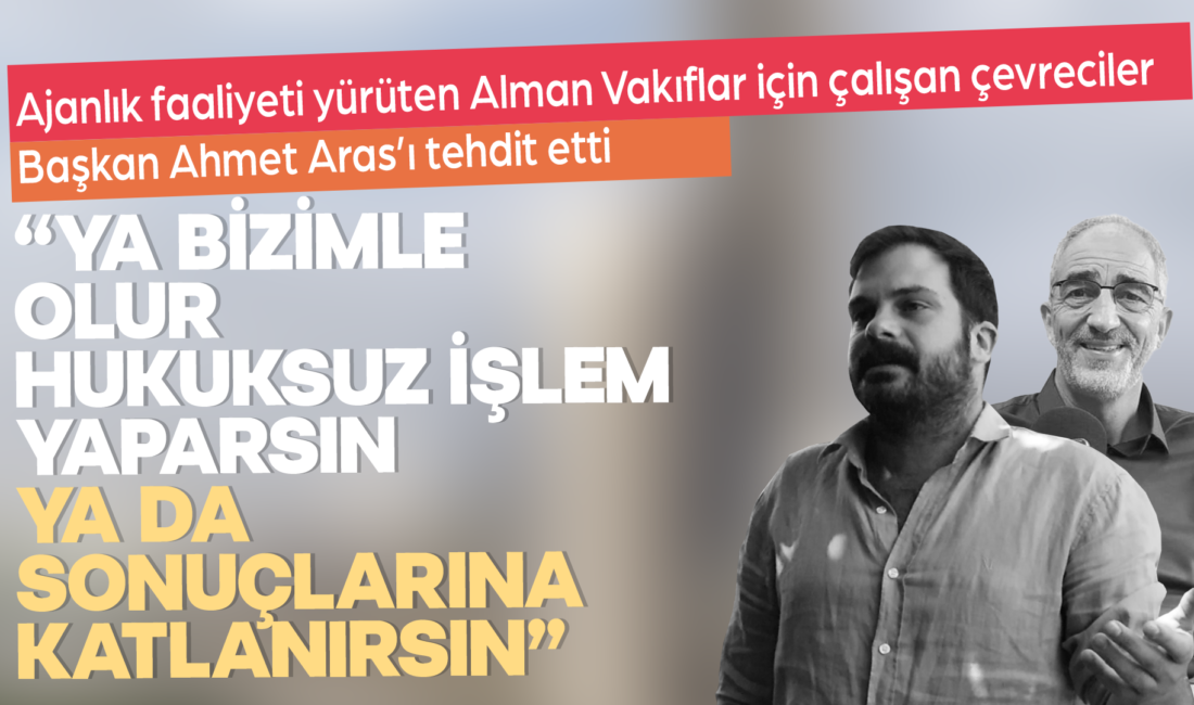 Alman Yeşiller Partisi'nin Heinrich