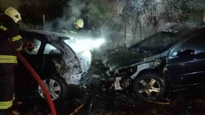 MUĞLA'NIN BODRUM İLÇESİNDE SANAYİ SİTESİNDEKİ PALMİYE AĞACINA YILDIRIM DÜŞTÜ, PARK