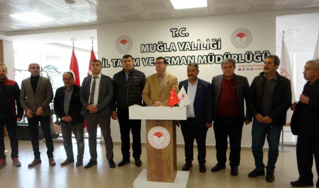 MUĞLA’DA BÜYÜKBAŞ HAYVANCILIKTA KÜPELEME