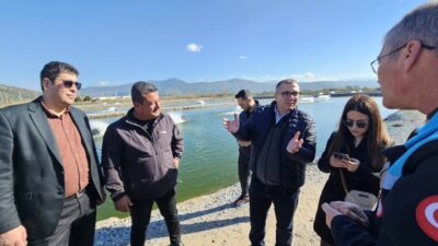 Azerbaycan Tarım Bakanlığı heyeti, Bakan Danışmanı Zaur Aliev başkanlığında Muğla’ya