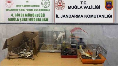 Muğla, Menteşe İlçesi Yerkesik Mahallesinde faaliyet gösteren bir kahvehanede M.H.