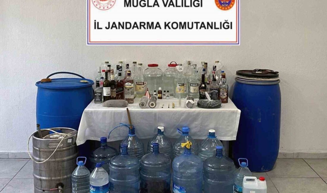 Muğla, Ortaca İlçesi Fevziye