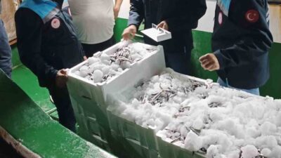 Bodrum açıklarında avlanılan hamsi balıkları, Reis 48 kontrol ve denetim