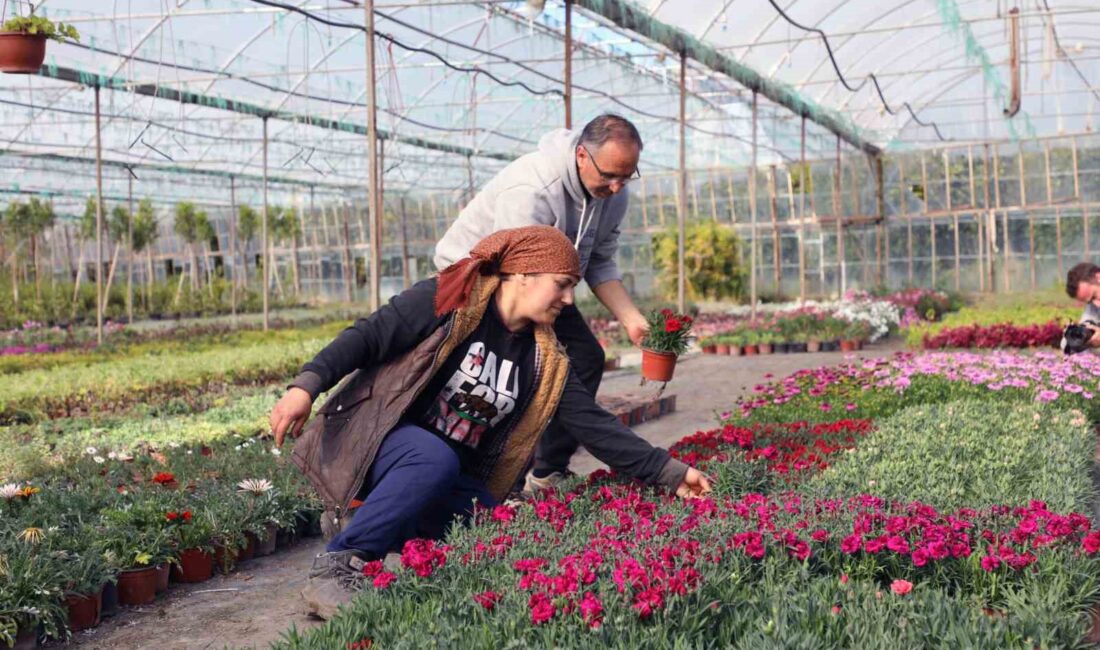 Muğla Büyükşehir Belediyesi tarafından