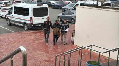 Muğla’nın Bodrum ilçesinde ağaç budarken çıktığı duvardan düşen şahıs hayatını