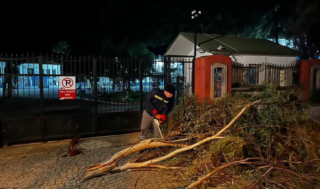 Bodrum Belediyesi, meteorolojik değerlendirmeler