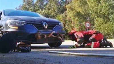 Fethiye-Antalya karayolu üzerinde seyir halinde olan otomobil, aniden önüne çıkan