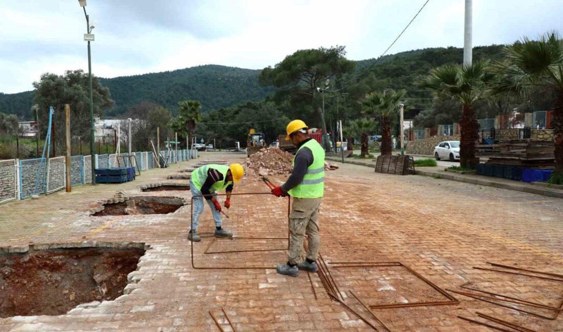 Bodrum Belediyesi tarafından Kızılağaç