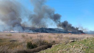 Muğla’nın Köyceğiz ilçesindeki Köyceğiz Gölü kenarında bulunan sazlıklarda yangın başladı.