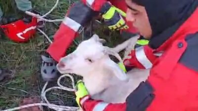 Muğla’nın Datça ilçesinde 10 metre derinliğindeki kuyuya düşen keçiyi itfaiye