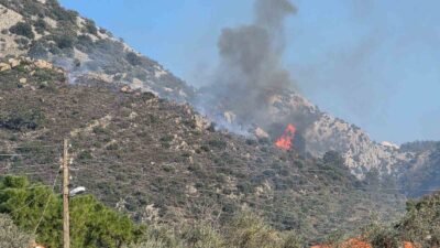 Muğla’nın Milas ilçesinde meydana gelen orman yangına ekiplerin müdahalesi sürüyor.