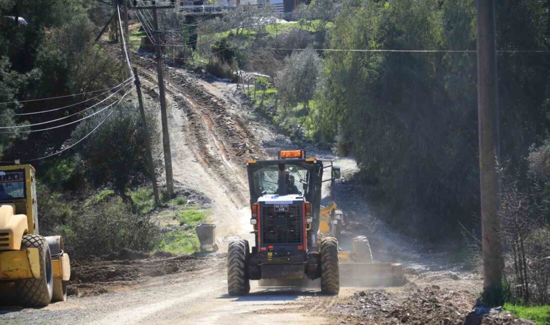 13 ilçesi, 574 mahallesi