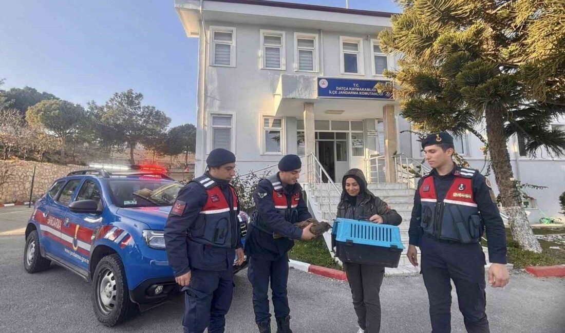 Muğla’nın Datça ilçesinde jandarma