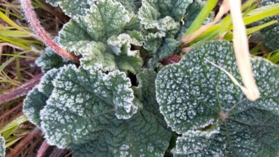 Meteoroloji 4. Bölge Müdürlüğü Bölge Tahmin ve Uyarı Merkezinden yapılan