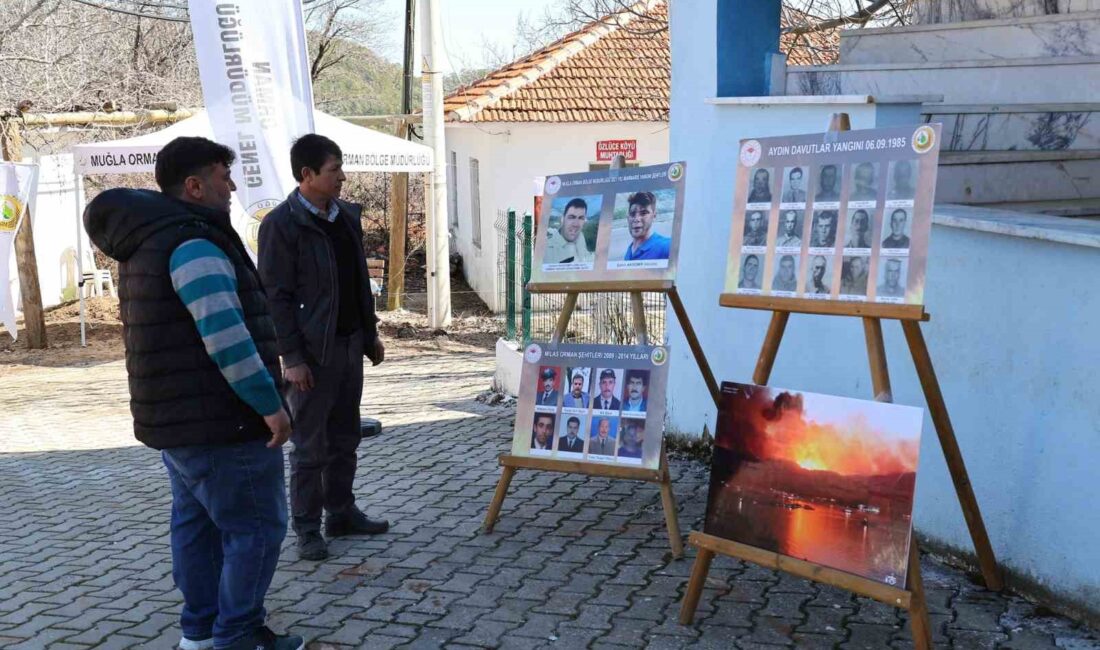 Muğla Orman Bölge Müdürlüğü