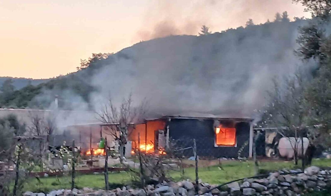 Muğla’nın Bodrum ilçesinde bir