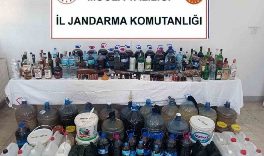 Muğla’nın Ula ilçesinde Jandarma