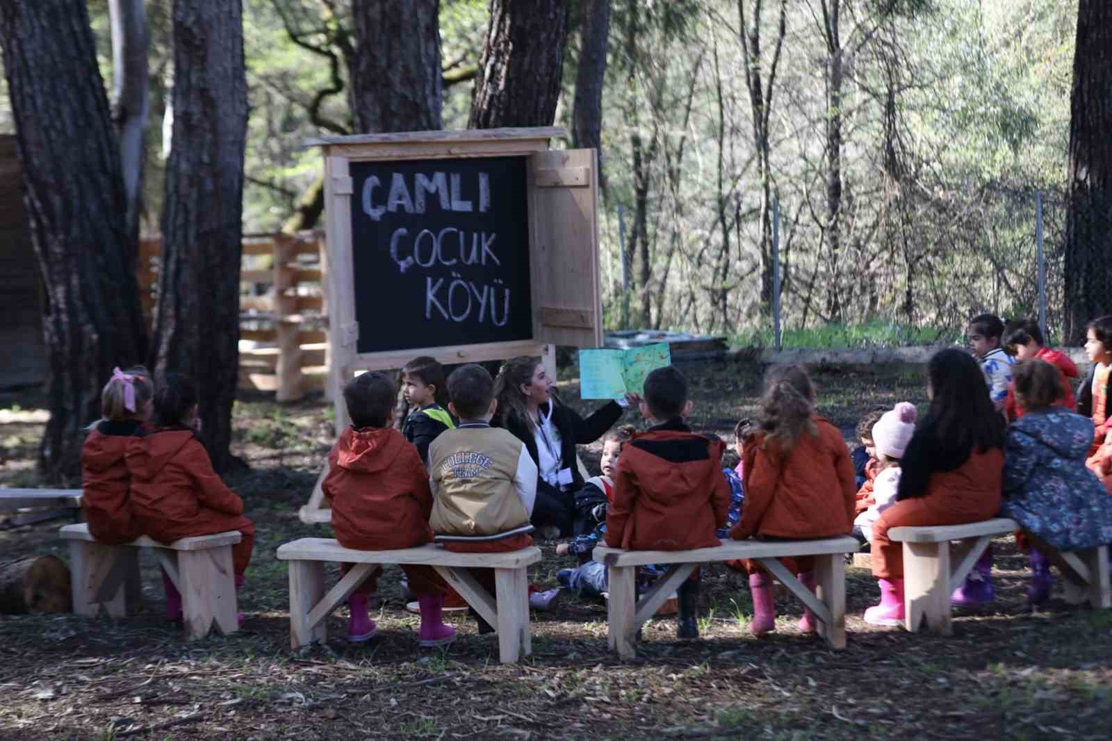 Marmaris’te Tıbbi Bitkiler Koleksiyon
