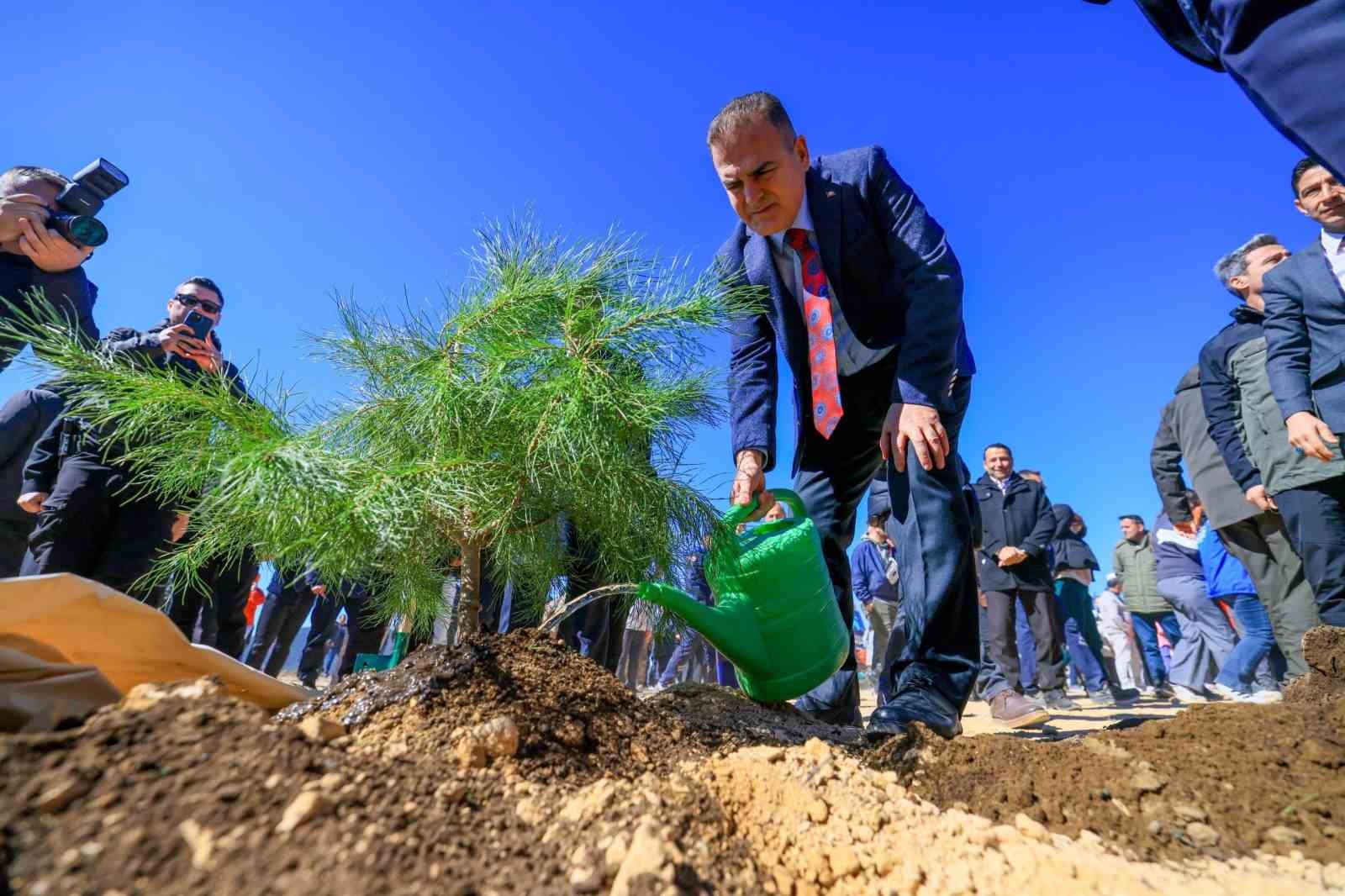 21 Mart Dünya Ormancılık